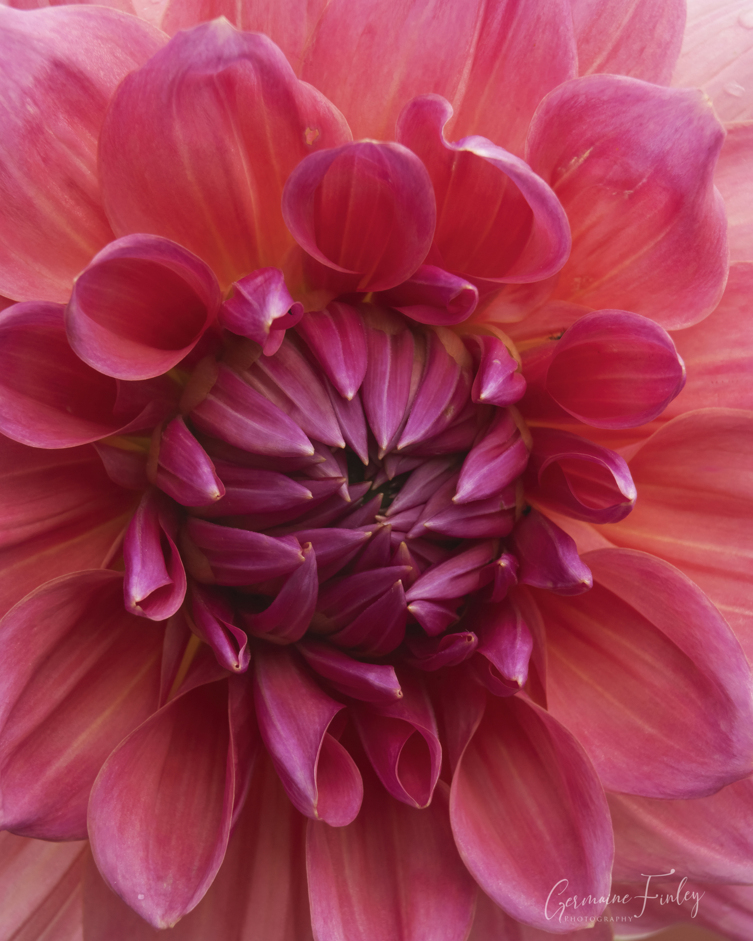 Meeting Photo Slide Show